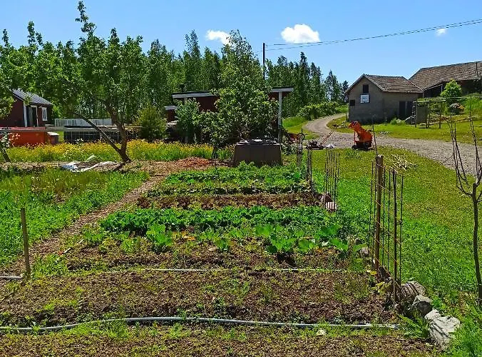 Bed and breakfast Hannaksen Tila